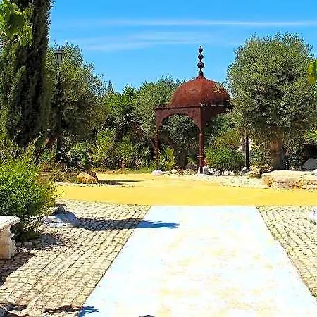 Capela Artes سيلفيس
